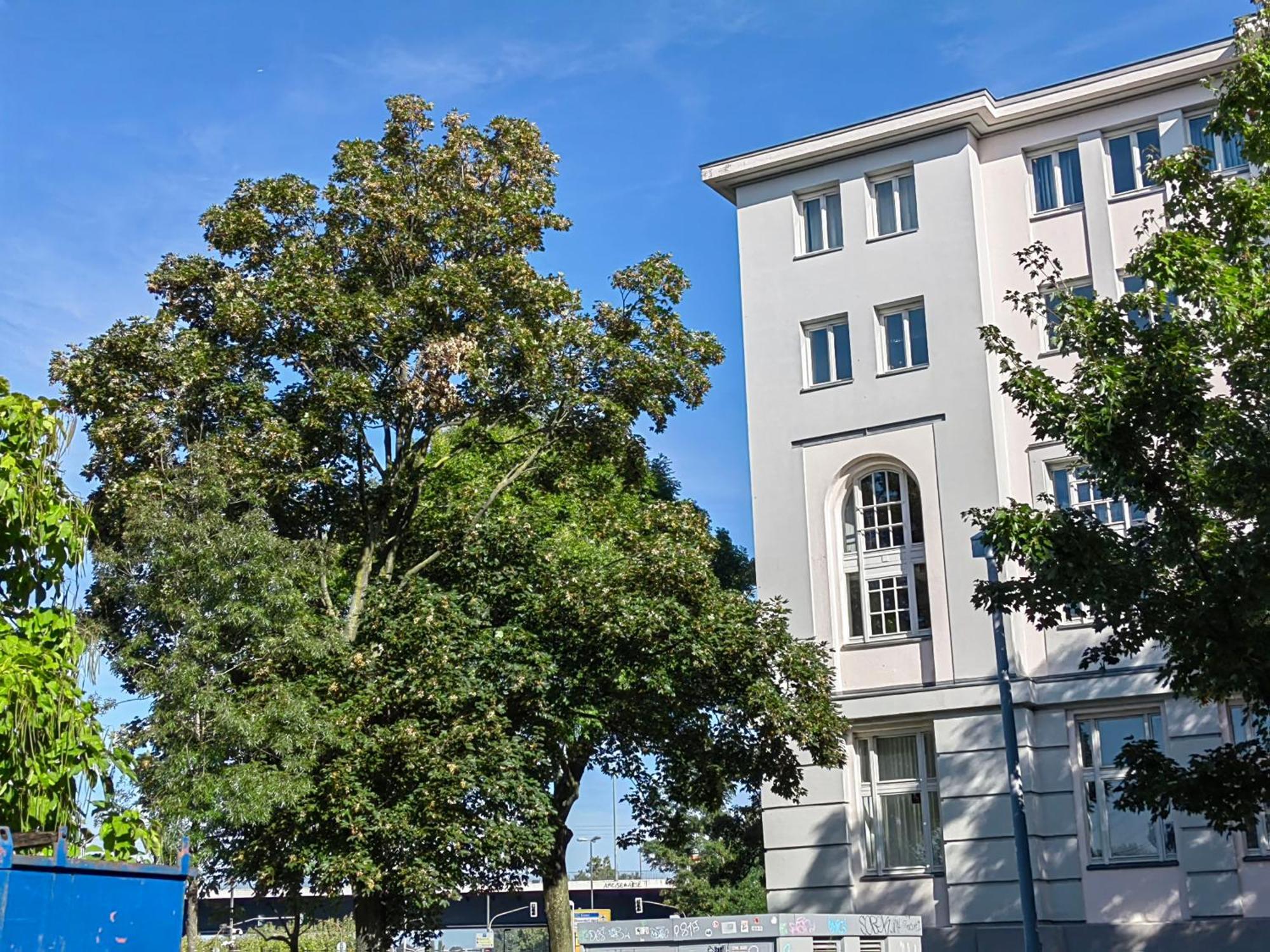 Epic Location Leilighet Düsseldorf Eksteriør bilde